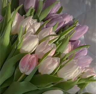 カラー Erina レイヤー/似合わせ♡のヘアスタイル