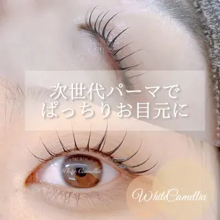 マツエク・マツパ 韓国風束感まつ毛🎀 Nanamiのマツエク・マツパデザイン