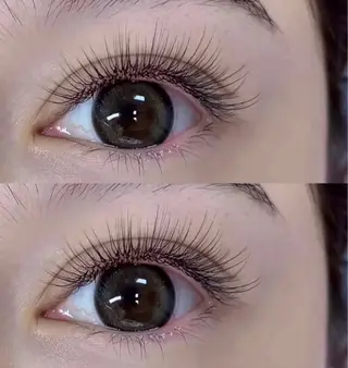 マツエク・マツパ APEX BEAUTYのマツエク・マツパデザイン