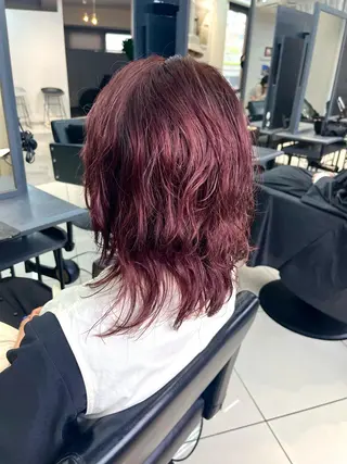 セミロング カラー ウルフ🦋顔まわり ❤︎ ͛MEIのヘアスタイル
