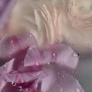 小顔 🌿R-isa森井のエステ・リラクイメージ