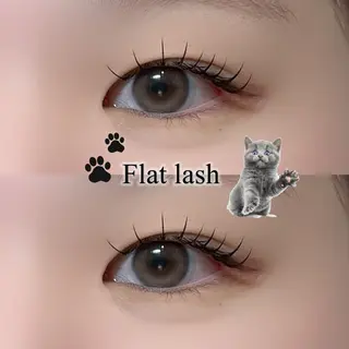 マツエク・マツパ ayano🐾 eightのマツエク・マツパデザイン