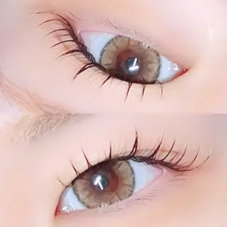 マツエク・マツパ 【ダメージケア特化】 🌸 サクララッシュの眉毛・アイブロウイメージ