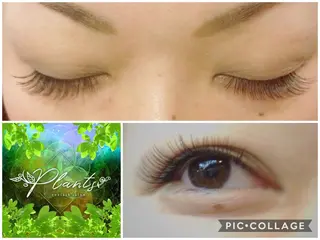 マツエク・マツパ Plants　斧田 ひろみのマツエク・マツパデザイン