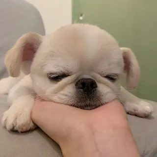 ショート ◆感動口コミ/最小顔 理論カット◆森口 峻のヘアスタイル