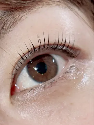 マツエク・マツパ Anjir(アンジール)所属・完全個室サロン Anjirのエステ・リラクイメージ