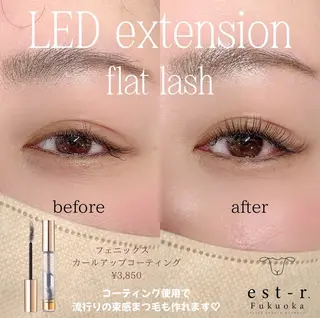 マツエク・マツパ Mai まつげパーマ/LEDのマツエク・マツパデザイン