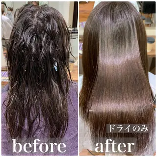 セミロング 【縮毛矯正プロ講師】 島野 伊央汰のヘアスタイル