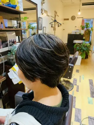 ショート カラー サトウ シューイチのヘアスタイル