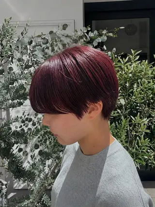 ショート 小林 遥のヘアスタイル