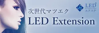 マツエク・マツパ ehl:fa Beautyのマツエク・マツパデザイン