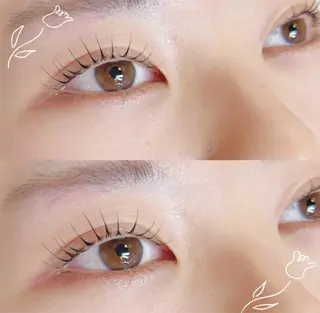 マツエク・マツパ 🕊MaazLash 4🕊️のマツエク・マツパデザイン