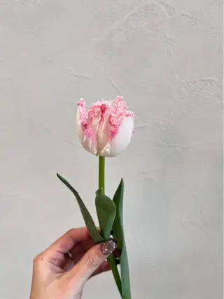 🌸花屋併設🌸寺島 秀美のヘアスタイル