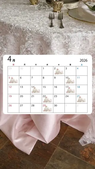 🍀fein. sakura🍀の眉毛・アイブロウイメージ