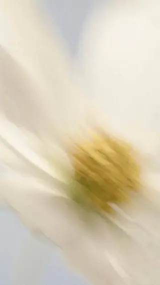 ネイル each lucaのネイルデザイン