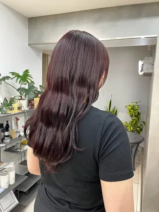 ロング カラー ウルフ🦋顔まわり ❤︎ ͛MEIのヘアスタイル