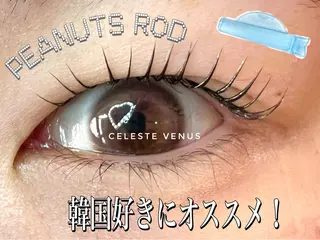 マツエク・マツパ 🧸Celeste Venusのマツエク・マツパデザイン