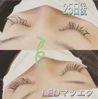 マツエク・マツパ マツエク ALO'HALOのマツエク・マツパデザイン