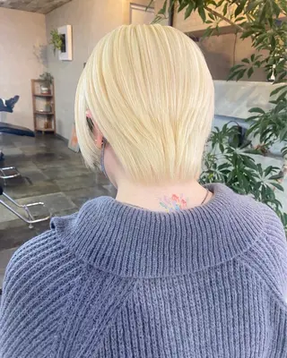 ショート カラー 藤田 清志のヘアスタイル