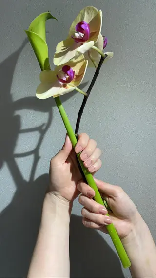 ネイル sis nail 梅田　あい子のネイルデザイン