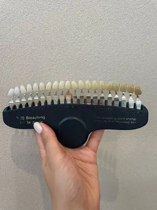 エクシアホワイト西尾 堀内恵のその他イメージ