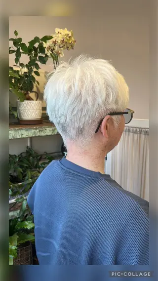 ショート Yuko ．のヘアスタイル