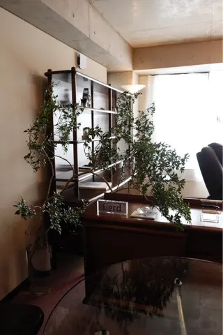 アイブロウ 眉毛・まつ毛 🍃yumiのマツエク・マツパデザイン