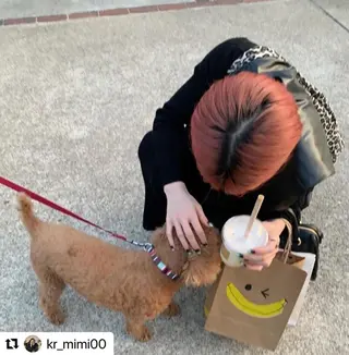 ミディアム カラー メンズ 🩷Eny terrace🩷のヘアスタイル