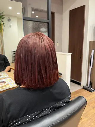 ショート カラー 高橋 春菜のヘアスタイル