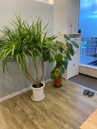 メンズ nanami -ホワイトニングのその他イメージ