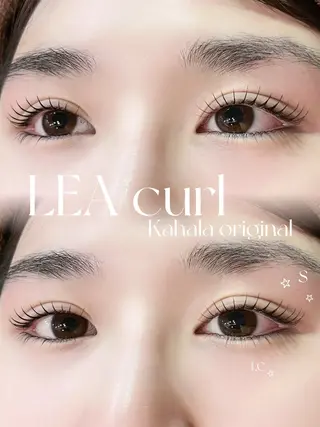 マツエク・マツパ Fujimoto 🦭⸝⋆꙳のマツエク・マツパデザイン