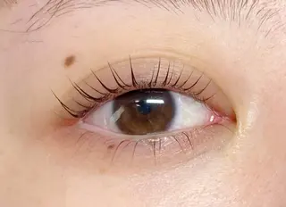 マツエク・マツパ CITRON ⭐︎のマツエク・マツパデザイン