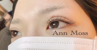 マツエク・マツパ 無料モデル募集中 Ann Mossのマツエク・マツパデザイン