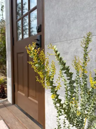 ネイル 🌲🌳🚪iiit o🌲🌳🌲のネイルデザイン