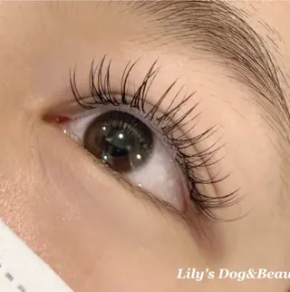 eyelist/ momokaのマツエク・マツパデザイン