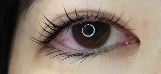 マツエク・マツパ まつげ専門 アデールのマツエク・マツパデザイン