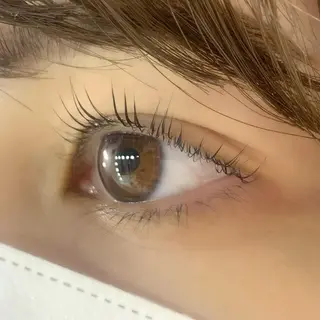 マツエク・マツパ 🧸Celeste Venusのマツエク・マツパデザイン