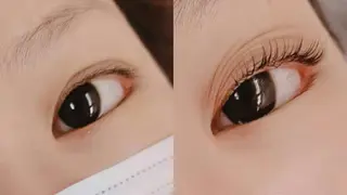 マツエク・マツパ 胡蝶蘭レディースサロ ン眉マツパエクステの眉毛・アイブロウイメージ