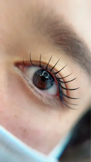 マツエク・マツパ Maile leaf 【マイレリーフ】のマツエク・マツパデザイン