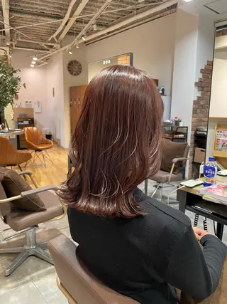 ミディアム カラー 髪質改善/レイヤー /ボブ/中村莞太朗のヘアスタイル