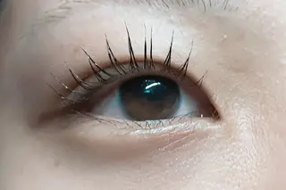 マツエク・マツパ angelux 所属・完全個室サロン🌹 angelux🌹のマツエク・マツパデザイン