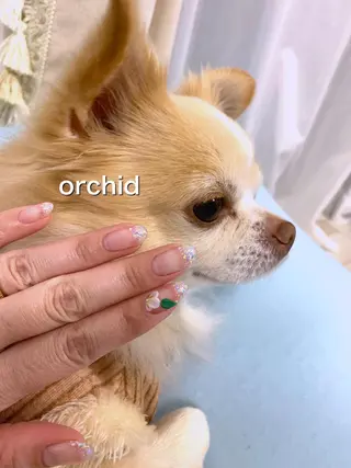 ネイル orchid ♡オーキッドのネイルデザイン