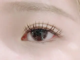 マツエク・マツパ Laurel eye ローレルのマツエク・マツパデザイン