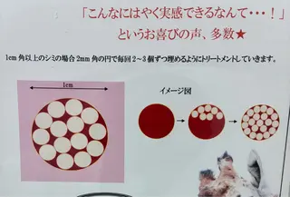 シミケア/ハーブピーリング/脱毛/小顔フェイシャル/ハーブ温浴　LAULEA所属・素肌をキレイに ラウレア🌼Hayaのエステ・リラクイメージ