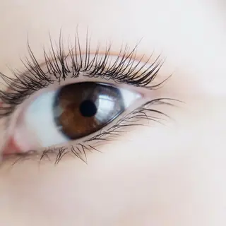 マツエク・マツパ 茂木 さえのマツエク・マツパデザイン