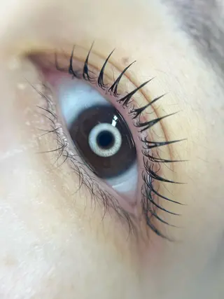 マツエク・マツパ eyelash salon VOSSのマツエク・マツパデザイン