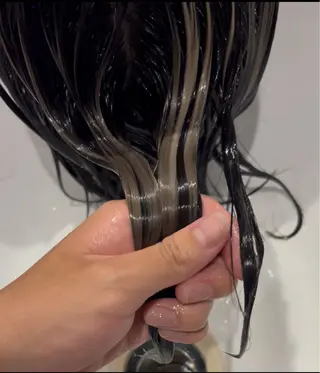 ミディアム カラー 美髪矯正/中華ウルフ 24h/高橋朋生のヘアスタイル