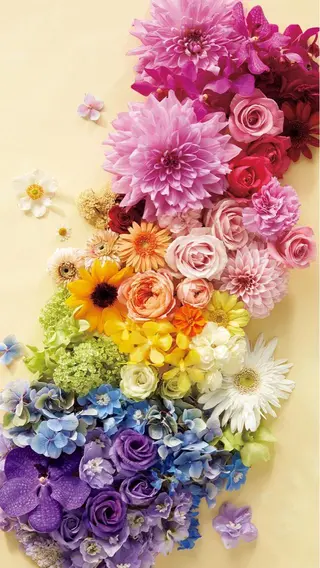 韓国ヘア/Color Coutureかなのヘアスタイル