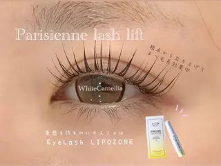 マツエク・マツパ Nanami 🎀の眉毛・アイブロウイメージ