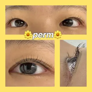 マツエク・マツパ 柏倉 茉依のマツエク・マツパデザイン